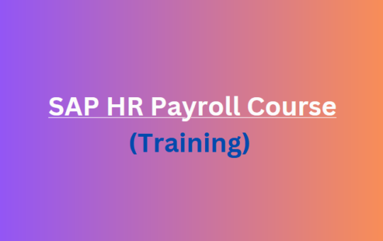 دورة SAP Payroll