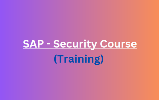 دورة SAP Security