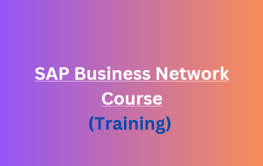 دورة SAP Business Network